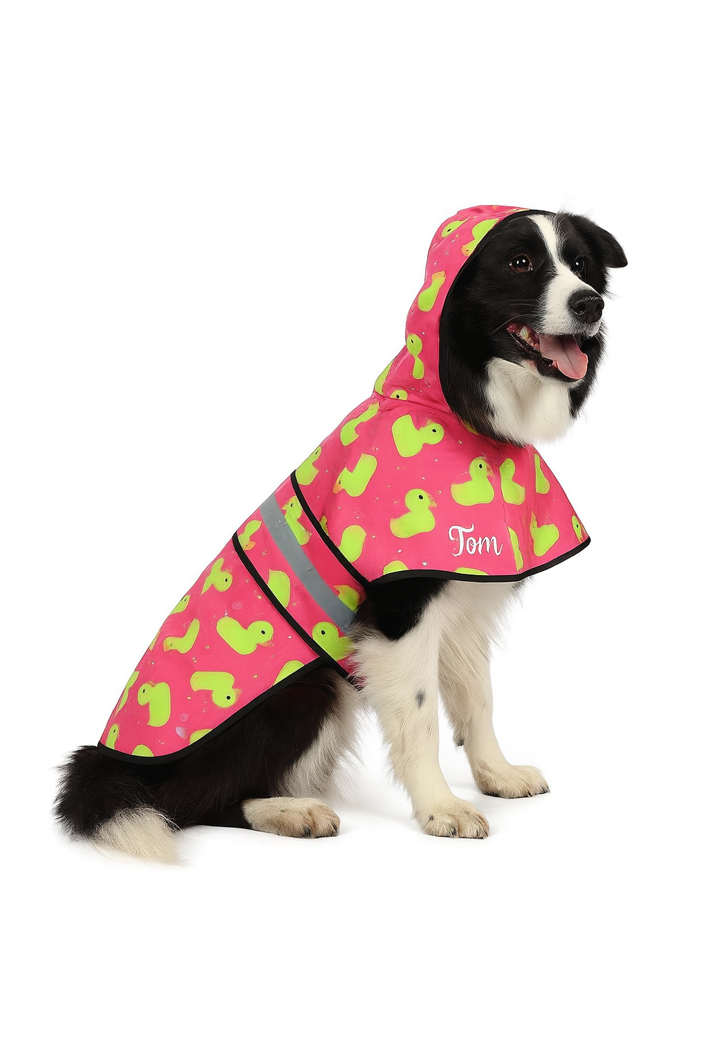 Lightweight Hooded Waterproof Jacket