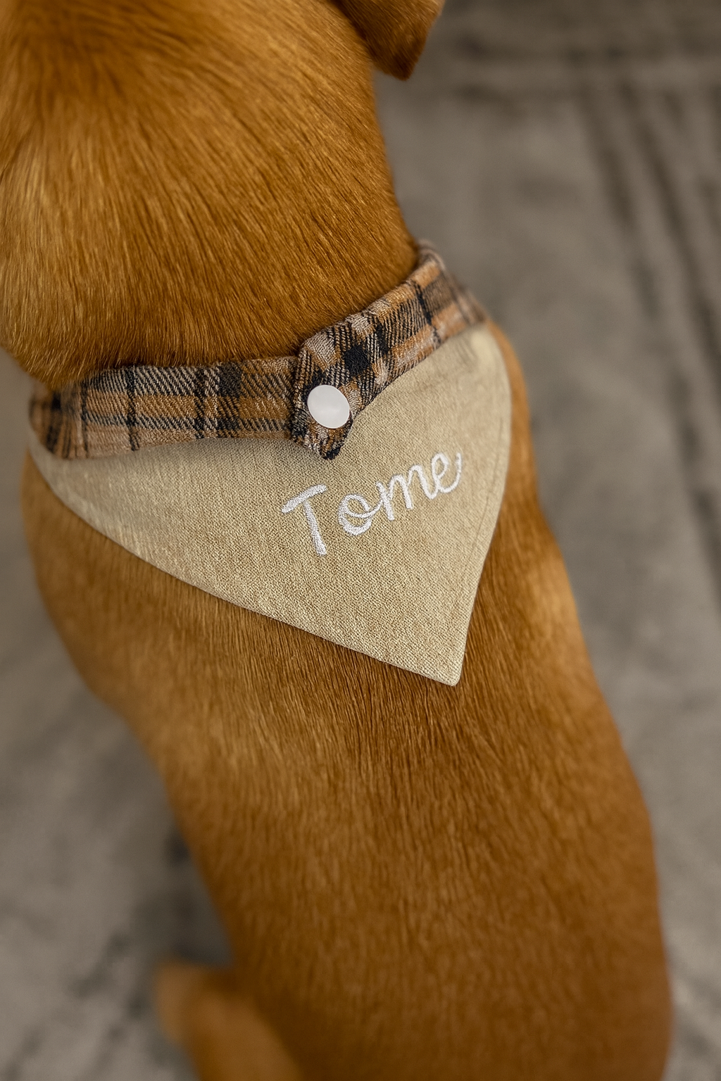 Plaid Dog Bandana Set (5-Pack)